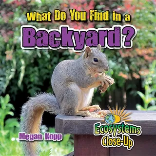What Do You Find in a Backyard?