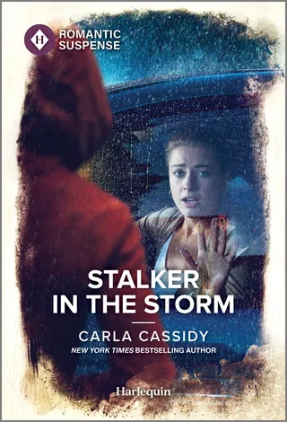 Stalker in the Storm