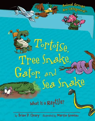 Tortoise, Tree Snake, Gator, and Sea Snake