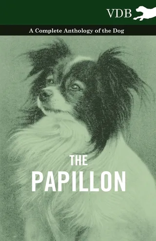 The Papillon
