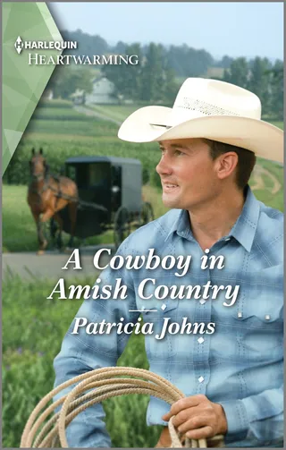 A Cowboy in Amish Country