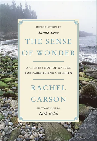Sense of Wonder