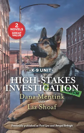 High-Stakes Investigation