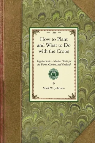 How to Plant and What to Do