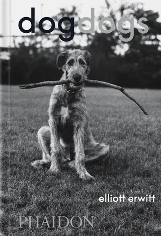 Dogdogs
