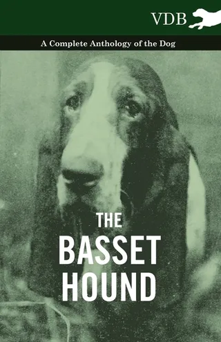 The Basset Hound - A Complete Anthology of the Dog