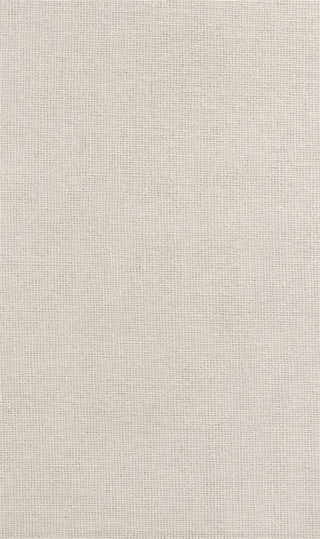 The Manuscript Books of Emily Dickinson