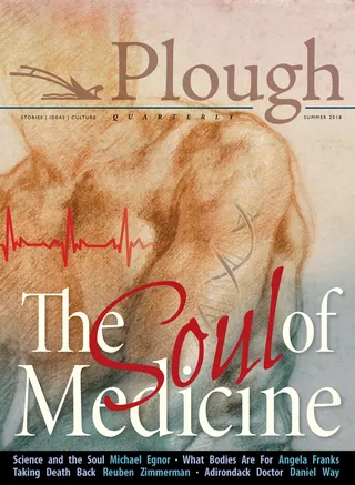 Plough Quarterly No. 17