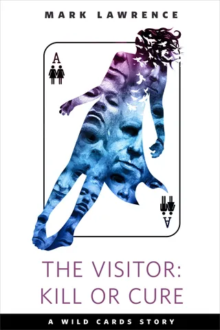 The Visitor