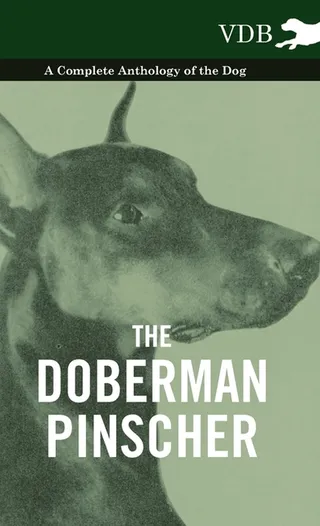 The Doberman Pinscher