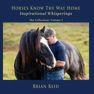 Horses Know The Way Home Inspirational Whisperings