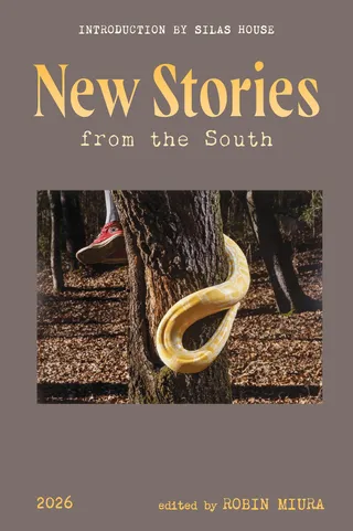 New Stories from the South