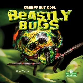 Creepy But Cool Beastly Bugs