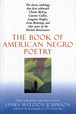 The Book of American Negro Poetry