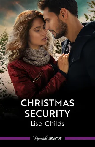 Christmas Security