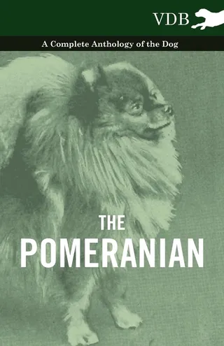 The Pomeranian
