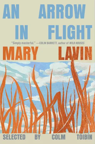 An Arrow in Flight