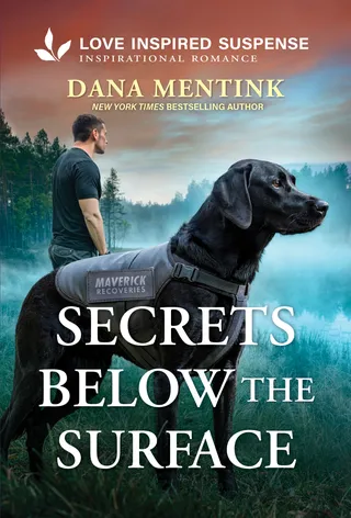 Secrets Below the Surface