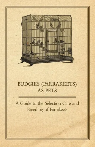 Budgies (Parrakeets) as Pets