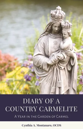 Diary of a Country Carmelite