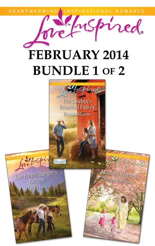 Love Inspired February 2014 Bundle 1 of 2