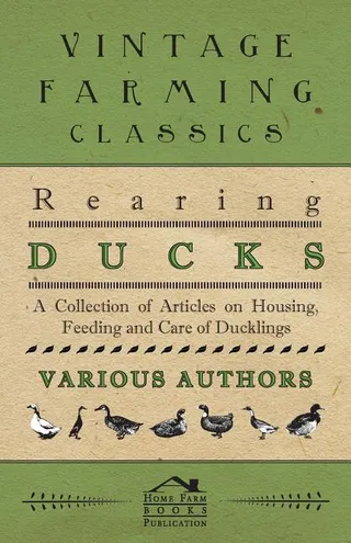 Rearing Ducks