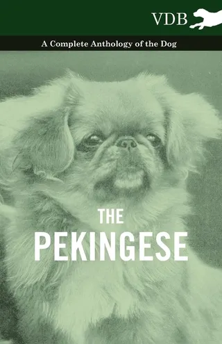 The Pekingese