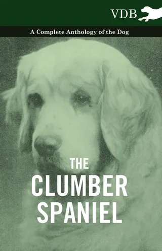 The Clumber Spaniel
