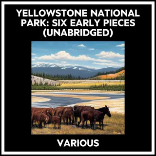 Yellowstone National Park