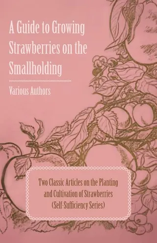A Guide to Growing Strawberries on the Smallholding