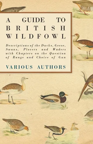 A Guide to British Wildfowl