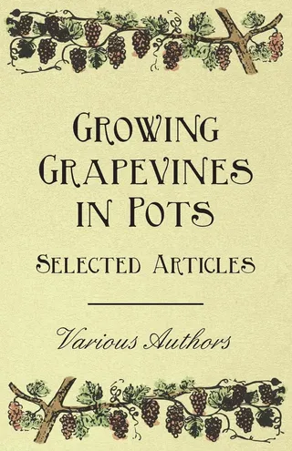 Growing Grapevines in Pots