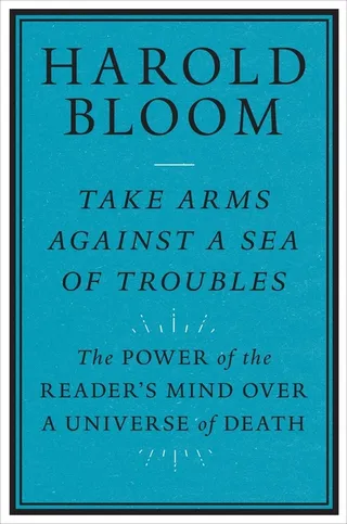 Take Arms Against a Sea of Troubles