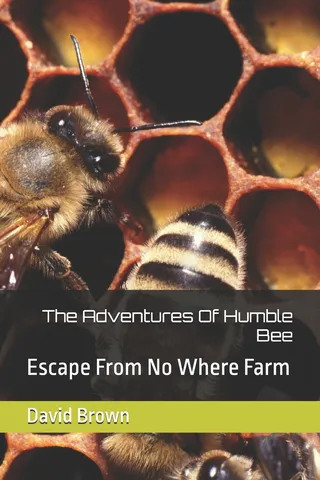 The Adventures Of Humble Bee