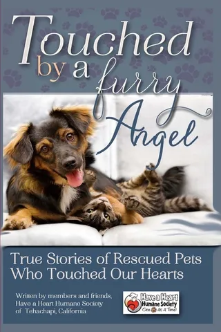 Touched By A Furry Angel
