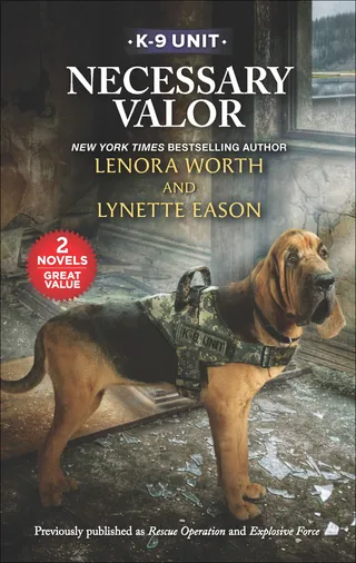 Necessary Valor