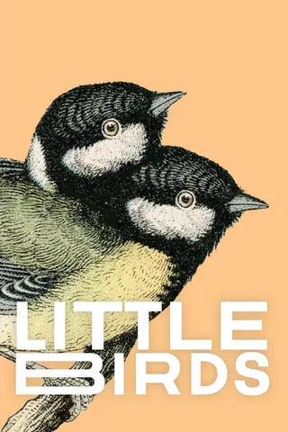 Little Birds
