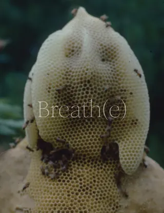 Breath(e)