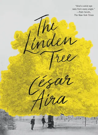 Linden Tree