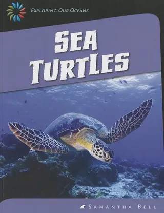 Sea Turtles