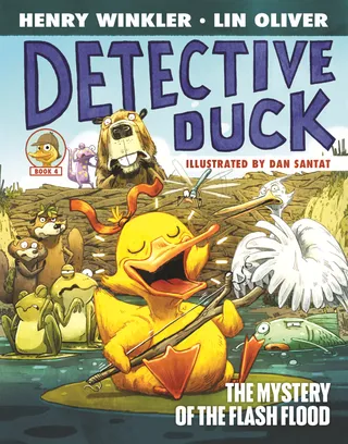 Mystery of the Flash Flood