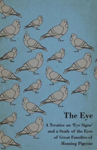 The Eye