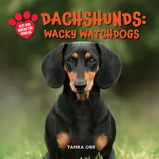 Dachshunds