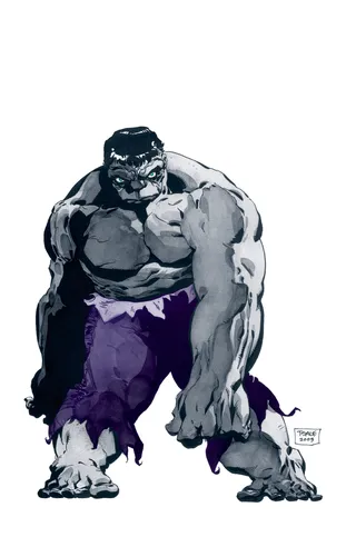 Jeph Loeb & Tim Sale Hulk