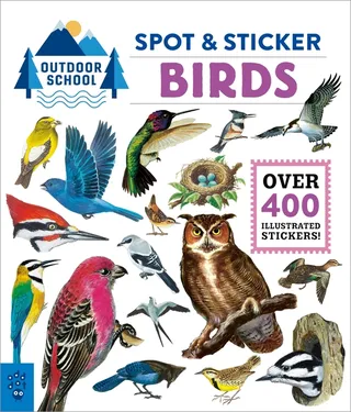 Outdoor School