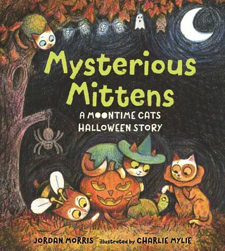 Mysterious Mittens