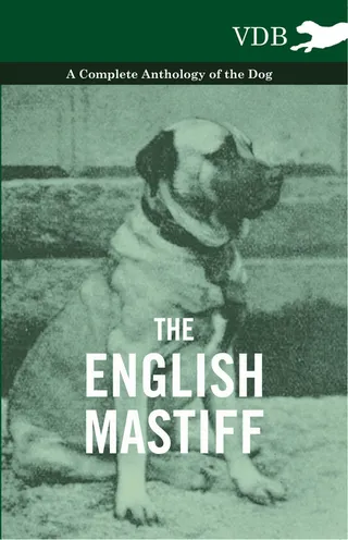 The English Mastiff