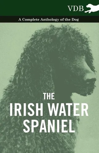 The Irish Water Spaniel