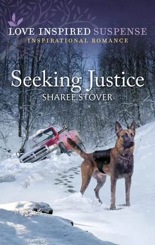 Seeking Justice