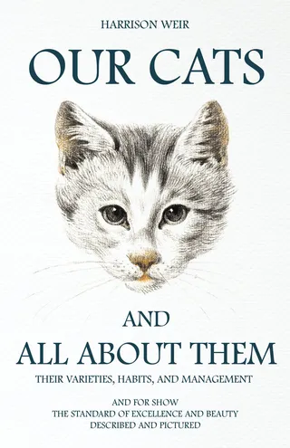 Our Cats and All about Them
